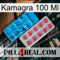 Kamagra 100 Ml new14